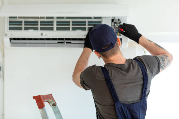 Air Duct Mold Removal in IL