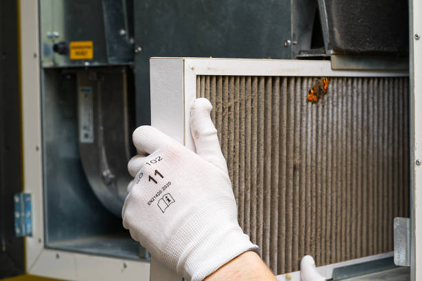 Best HVAC Duct Inspection Services  in Sandoval, IL
