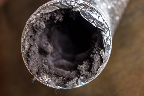 Best Air Vent Cleaning Services  in Sandoval, IL